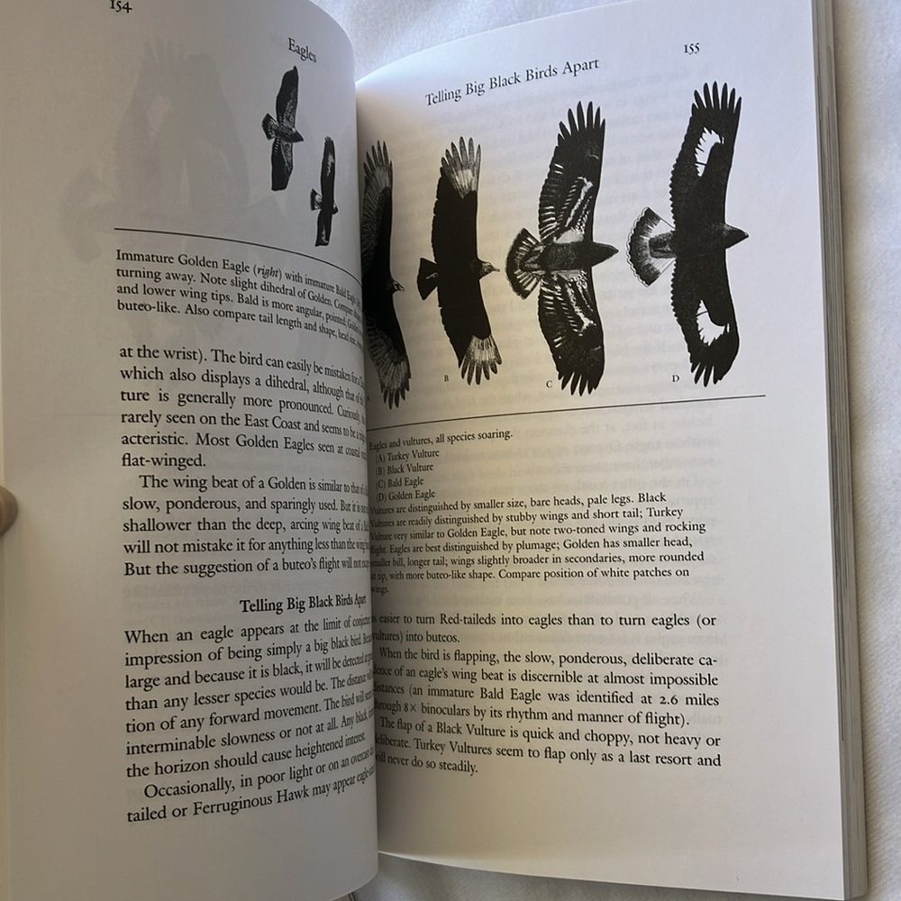 Birding Hawk Raptor Books - Picture 11 of 12